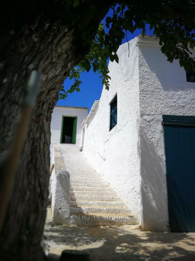 בית הארחה La Casa Grande De Zujaira מראה חיצוני תמונה