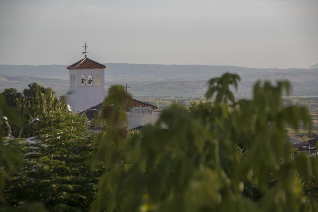 בית הארחה La Casa Grande De Zujaira מראה חיצוני תמונה